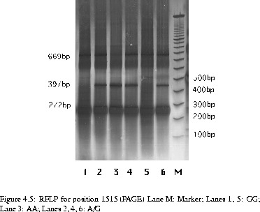 figure1995