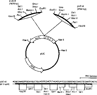 figure1259